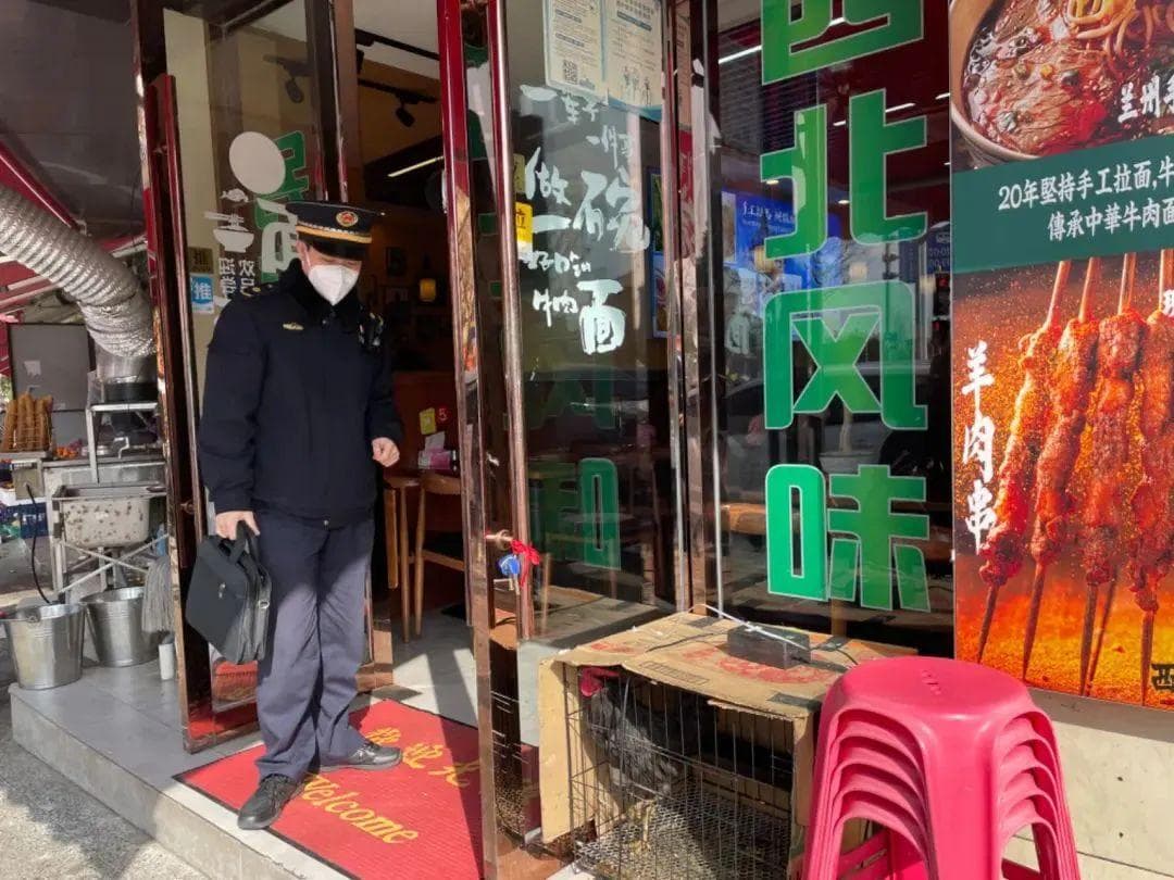 城市养鸡不可取  城管上门来处理
