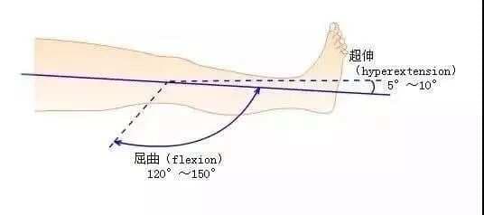 关节活动度的评估、记录、测量范围全解析！