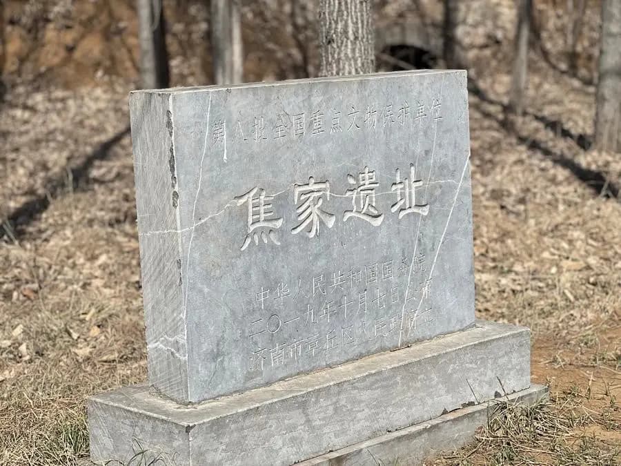 章丘焦家遗址：解锁 5000 年中华文明起源的神秘密码，改写历史认知！