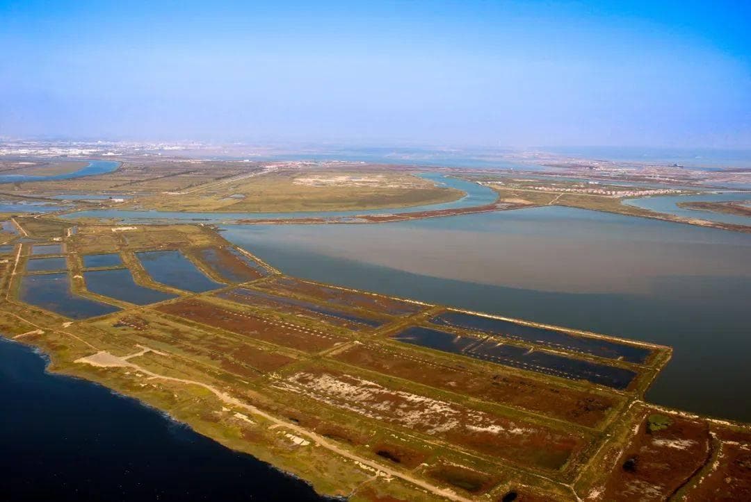 天津静湖：从污染污水库到获评“幸福河湖”的生态转型