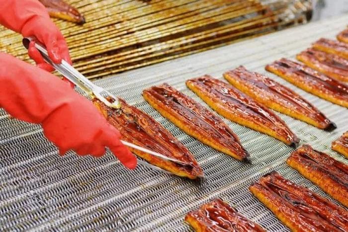 一吨狂涨4.5万元，鳗鱼出口火爆，养殖户为何赚不到钱？