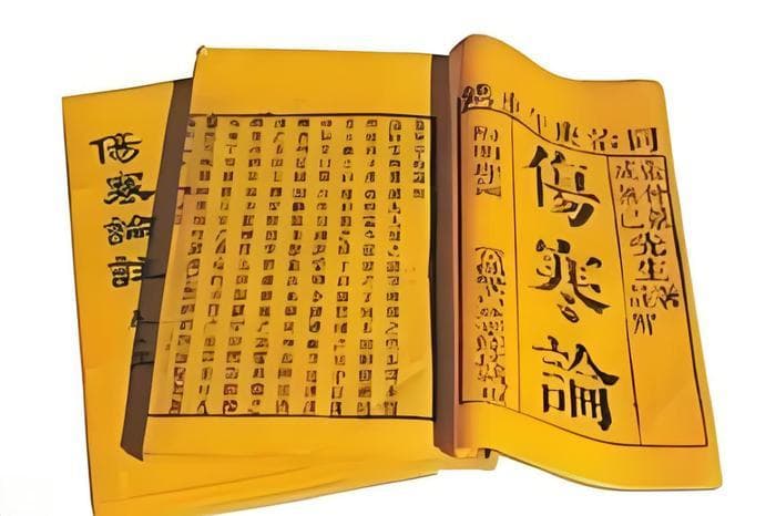 《伤寒论》中的中医哲学智慧：从“辨证求本”到现代管理启示