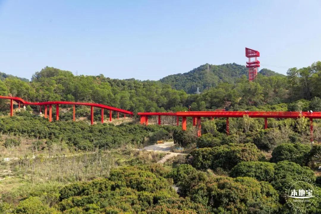 深圳十条绝美徒步绿道推荐！