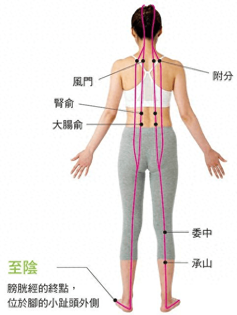 中医文化科普——人体最大的排毒经络“足太阳膀胱经”
