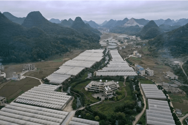 贵州中医药产业高质量发展正当其时
