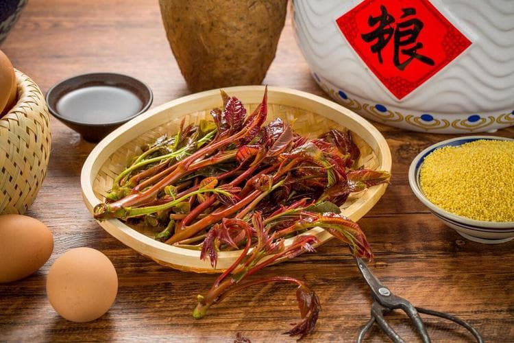 香椿树的适宜种植地区及食用指南