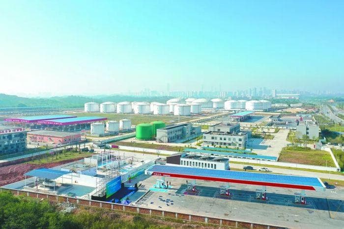 一文了解分布式制氢技术：甲醇制氢、氨分解制氢、水电解制氢等
