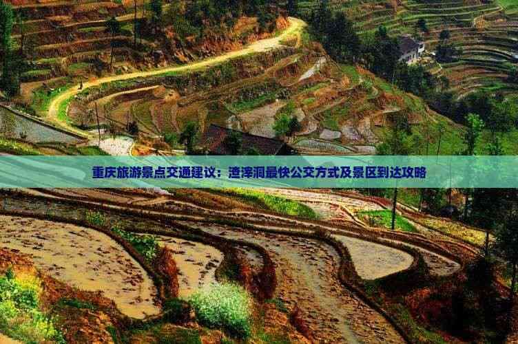 重庆渣滓洞景区交通攻略：多条公交路线详解及实用建议