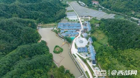 如何让特色产业成为“摇钱树”？从“贫困村”到“十强村”的奋进之路