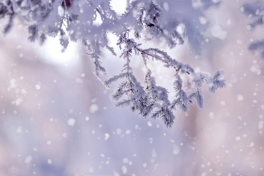 大雪时节，注意早睡晚起，进补有道