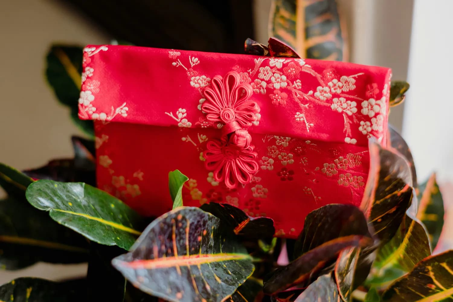 从穿着到礼物：最全祝寿礼仪指南