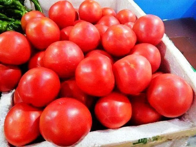 冻伤的西红柿能食用吗？