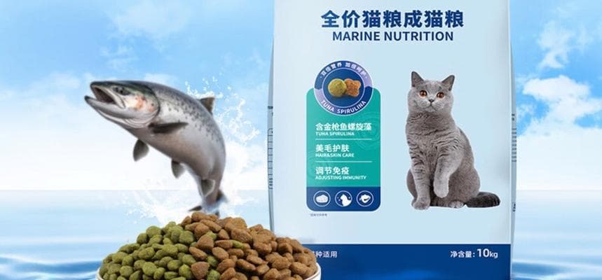 猫粮罐头与干猫粮有何不同？选择哪个更好？