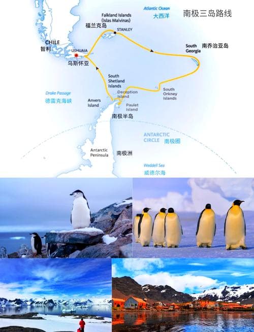 南极旅游攻略：探索冰雪世界的终极指南！