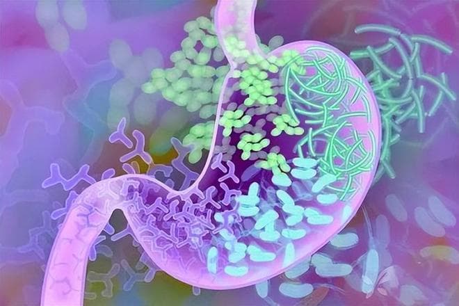 幽门螺杆菌感染的自我诊断：6个身体表现告诉你是否需要关注