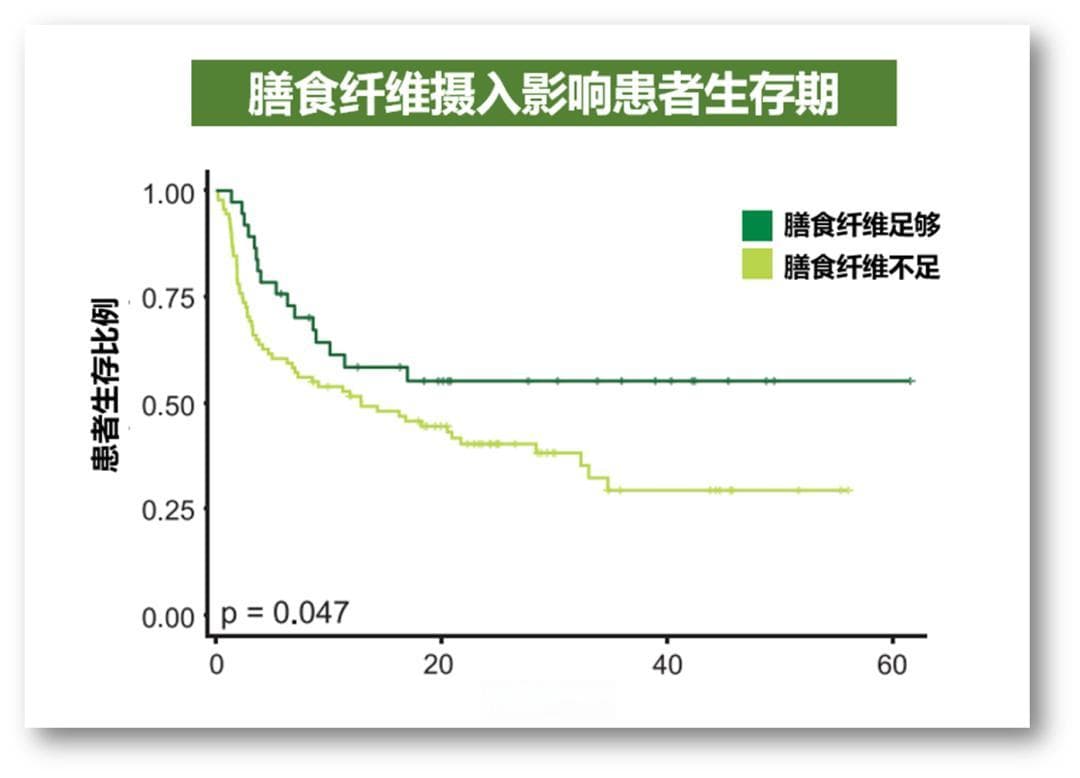 肠道菌群影响免疫疗效，益生菌该怎么补？