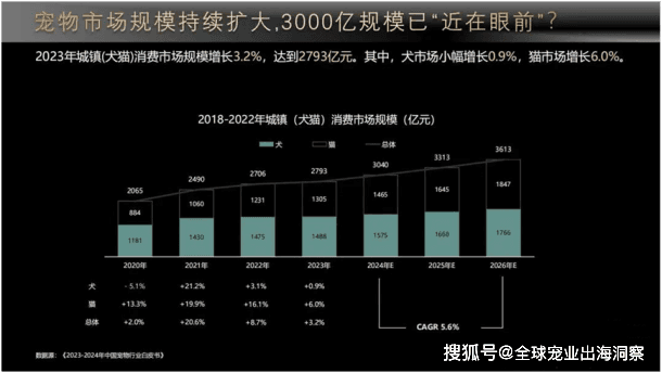 宠物行业创业指南：从市场调研到品牌建设的全方位指导