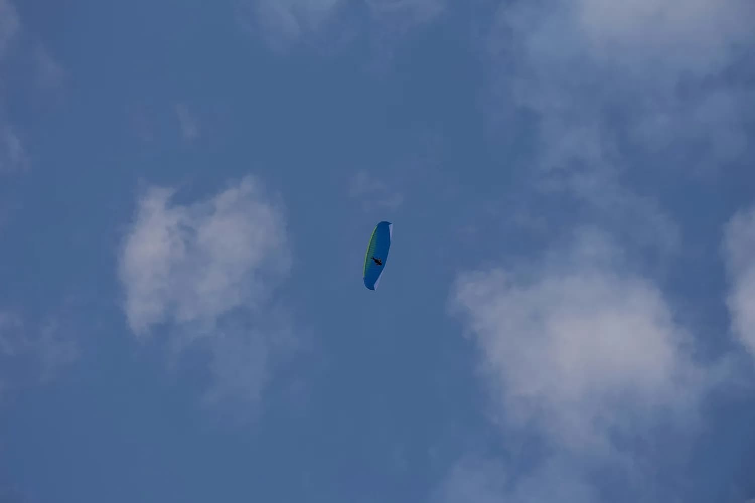 原神散兵高效玩法攻略