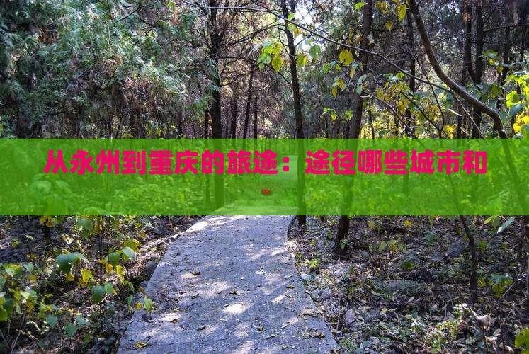 从永州到重庆的自驾游攻略：沿途城市景点全览