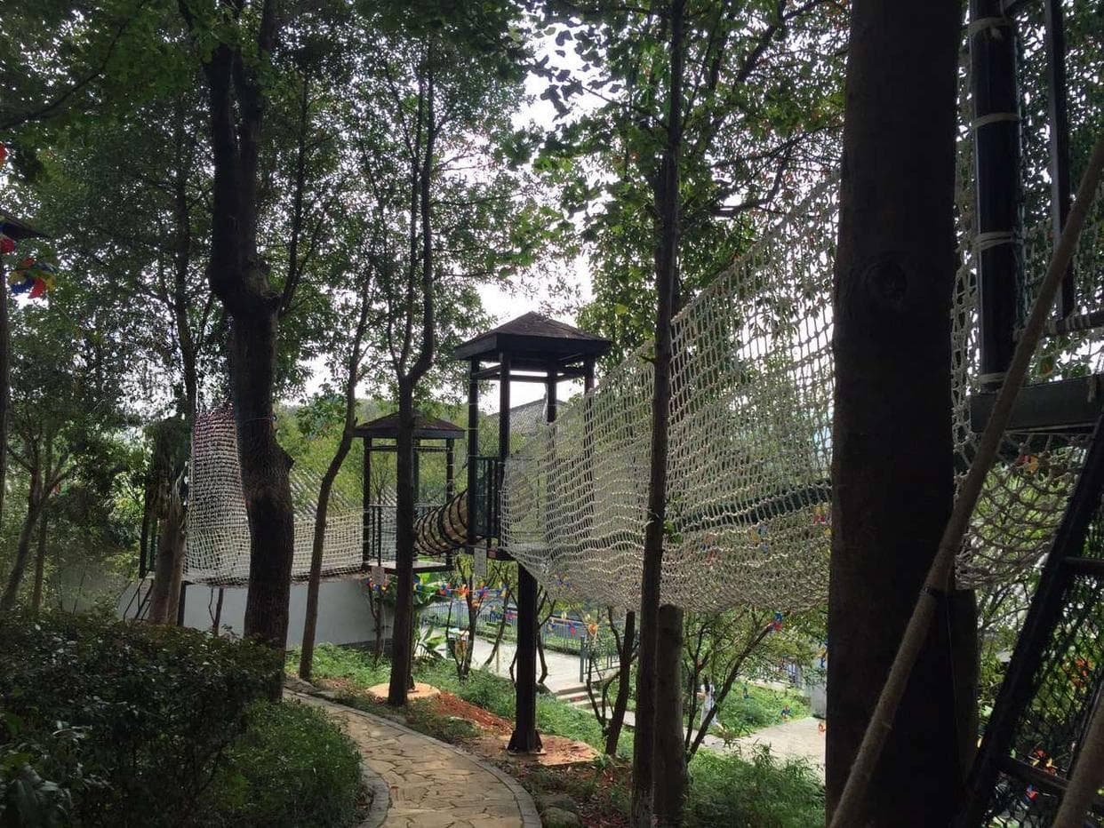 丛林穿越需要做树上吗