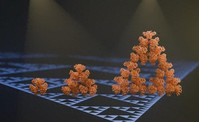 首个已知分形分子是自然数学的奇迹