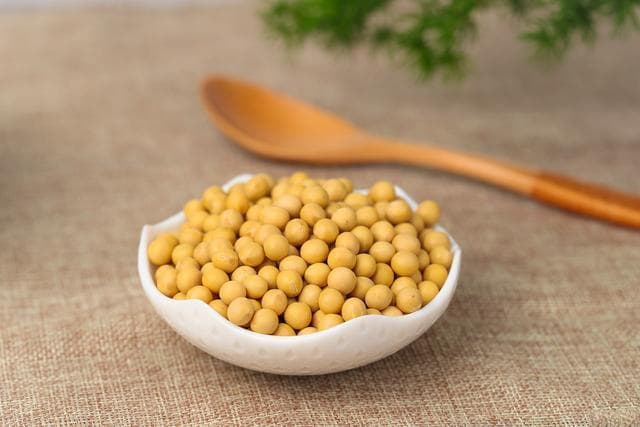 探索水豆腐的家常做法？细腻口感背后的烹饪艺术