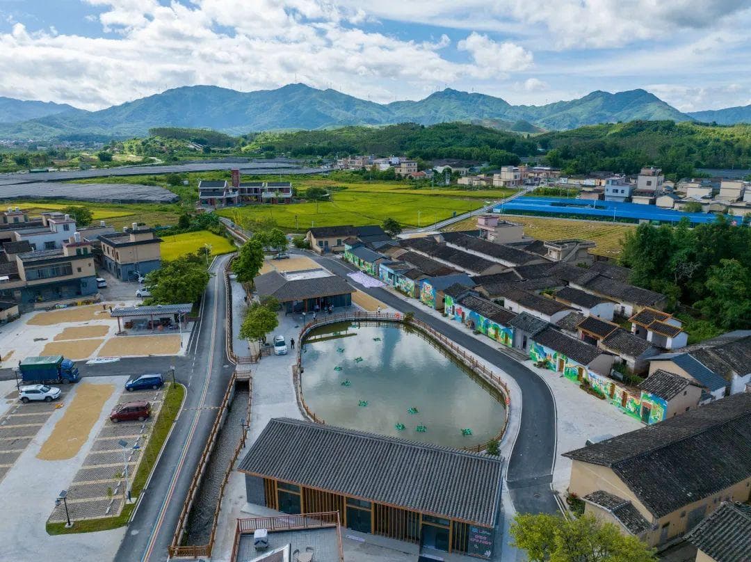 清远汇聚多方力量推动“百千万工程”落地见效