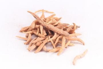 太子参的功效与作用