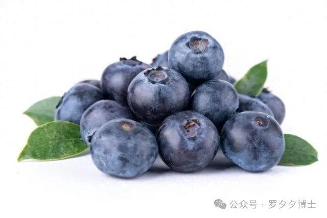 蓝莓：守护认知脑健康的“超级果实”？降低痴呆症风险