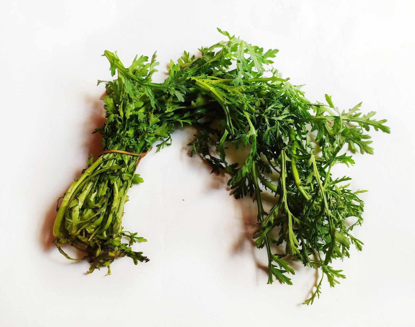 茼蒿种植全解析：掌握最佳时机与技巧，收获绿色健康