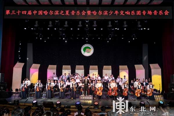夏夜蛙鸣：一曲自然交响乐