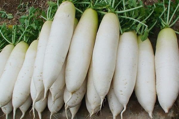小肚子胀痛怎么调节 这些食疗效果好