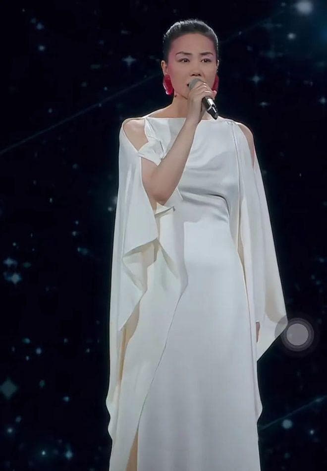 2025年春晚带火了新中式穿搭！王菲、赵雅芝等20位女明星穿搭解析