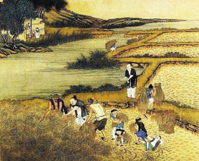 探究唐朝不仕则农的产生：技术进步与土地制度变迁