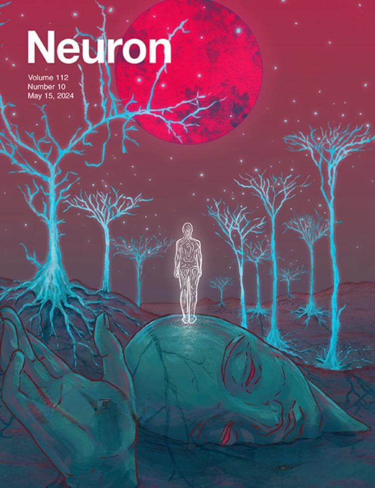 Neuron 2024年意识研究特刊综述：从理论到临床应用的全面探索