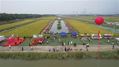 “村改居”后，蹚出一条发展新路……（图）