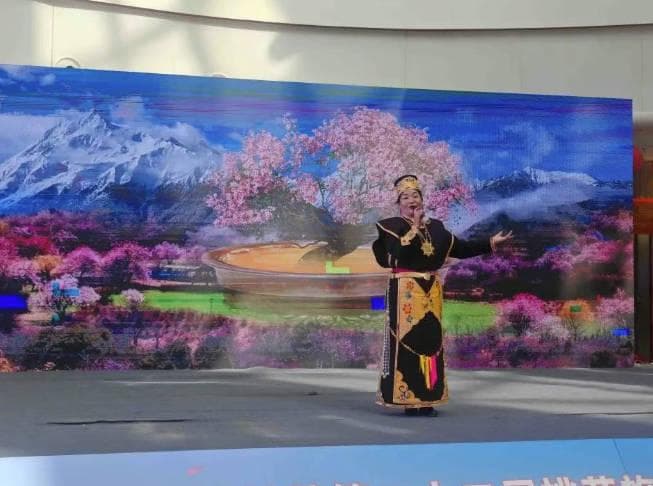 最新消息！2025年林芝桃花节最佳赏花路线发布