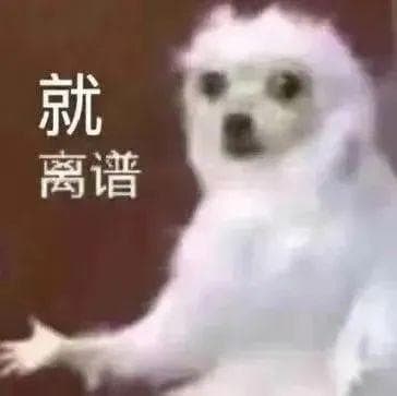 都是绿灯，谁的责任？