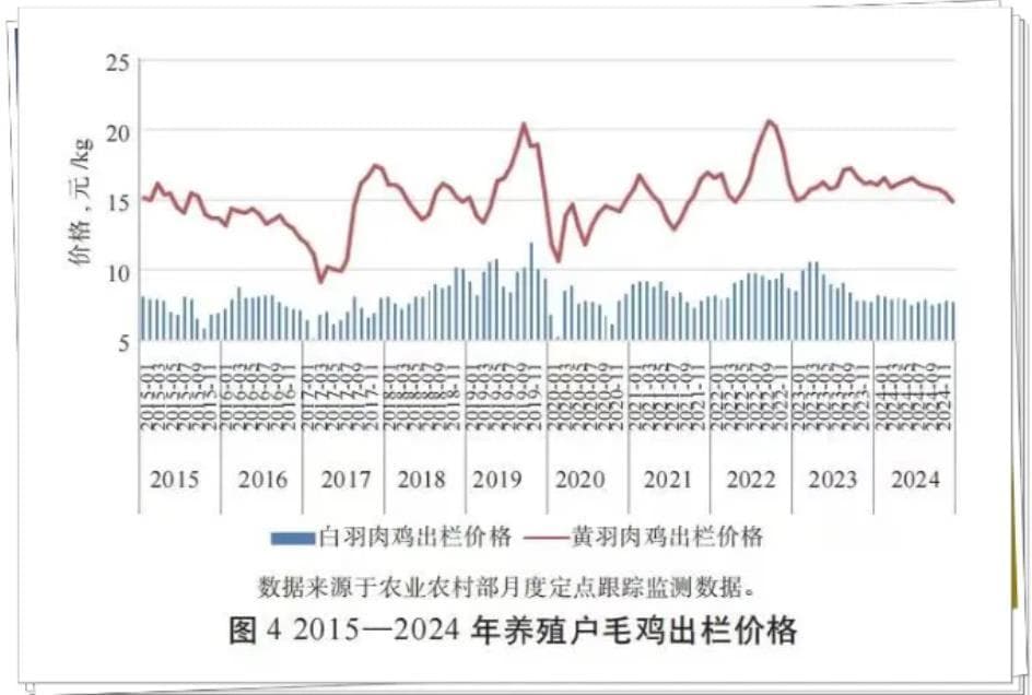 我国肉鸡中的黄鸡产量占比降至不足18% 国产白羽肉鸡份额达到28%