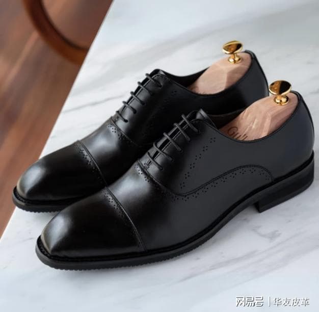 鞋型进化论：从功能到时尚的百年演变