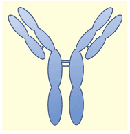 ELISA基础及要诀1-何谓ELISA