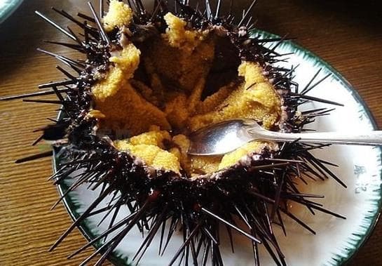 海胆有毒吗？海胆有寄生虫吗