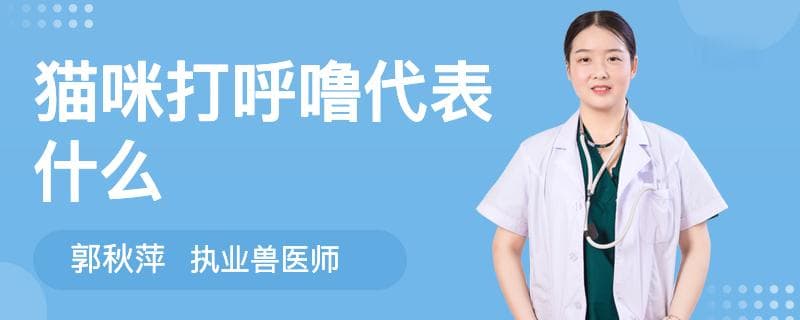 猫咪打呼噜代表什么