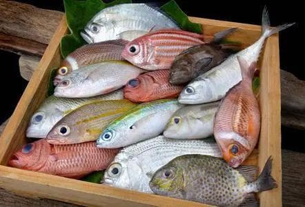 海鲜知识大全：从种类到营养价值，再到饮食禁忌