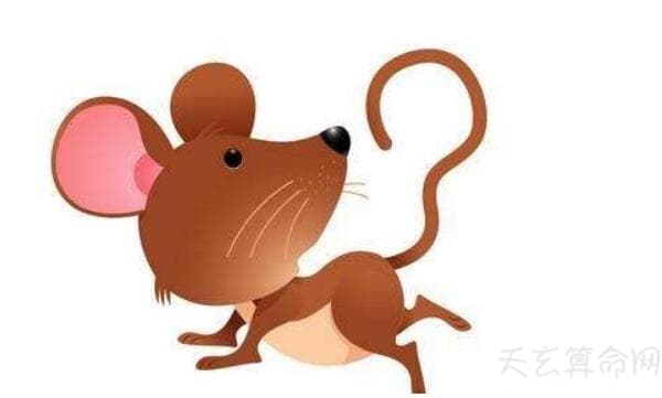 金鼠年是哪些年份 金鼠年的年份及运势详解