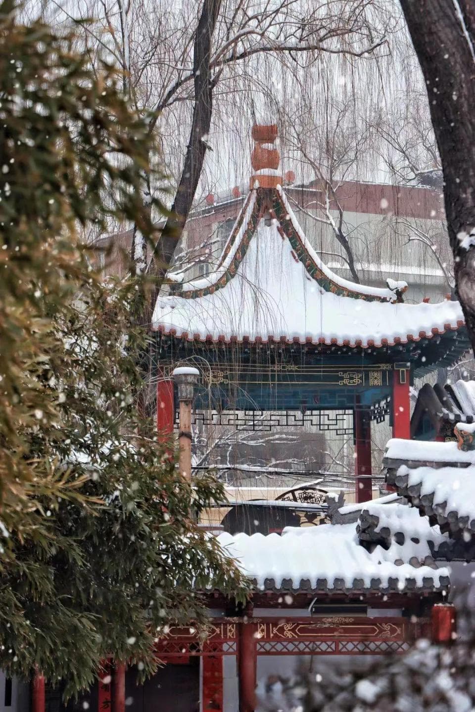 活力之城！满城靓色在迎泽