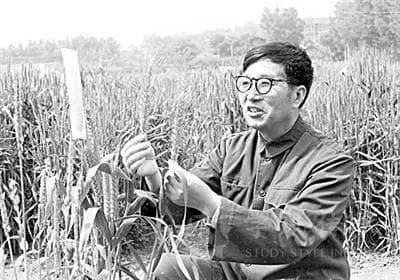 稷下追光者：李振声院士的科学人生与桑梓情怀