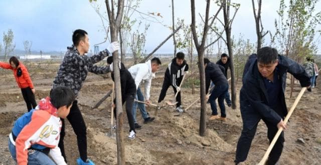 2024年秋季全民义务植树活动，你去了吗？