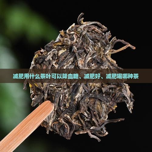 减肥用什么茶叶可以降血糖、减肥好、减肥喝哪种茶