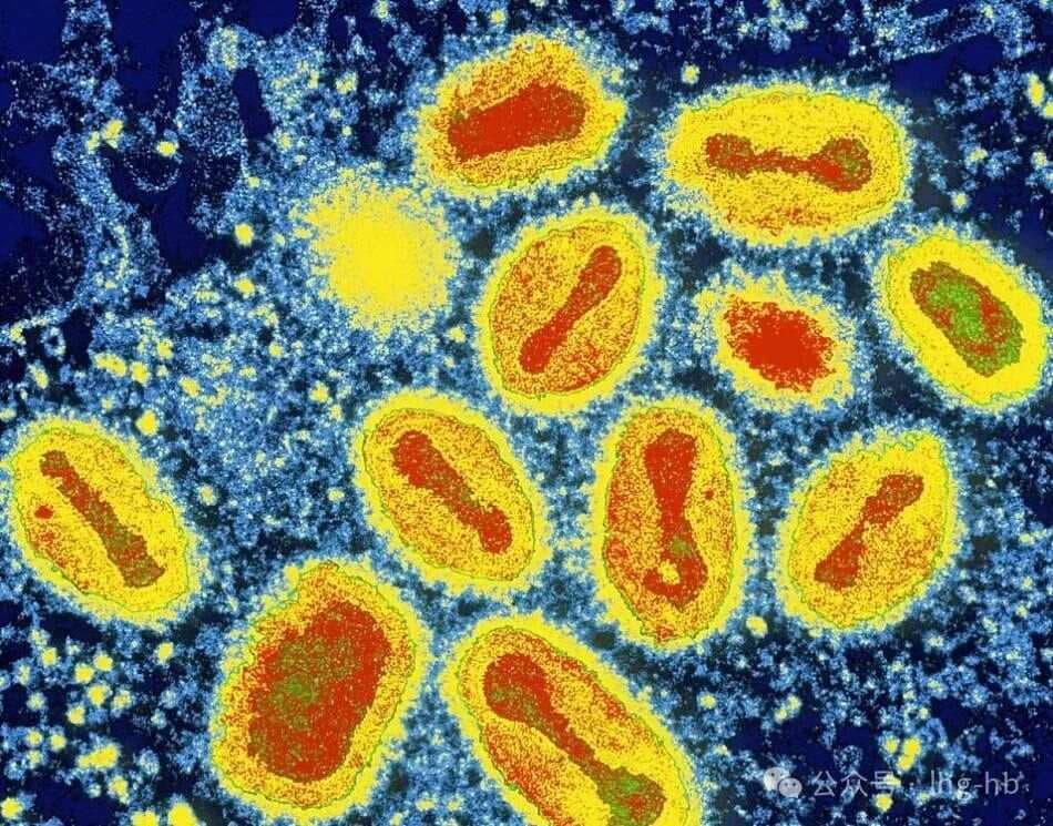 揭秘污水处理背后的"微生物军团"：种类、作用机理与应用全解析！
